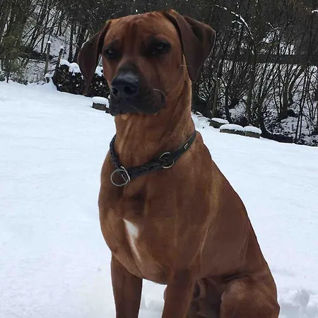 Ommelsbacher Muehle * Isenburg