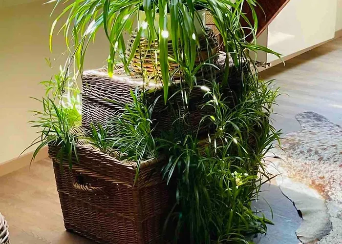 Ommelsbacher Muehle 公寓 *