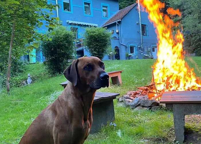 公寓 Ommelsbacher Muehle